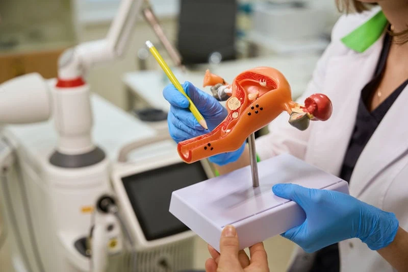 Vaginal Rejuvenation Procedures