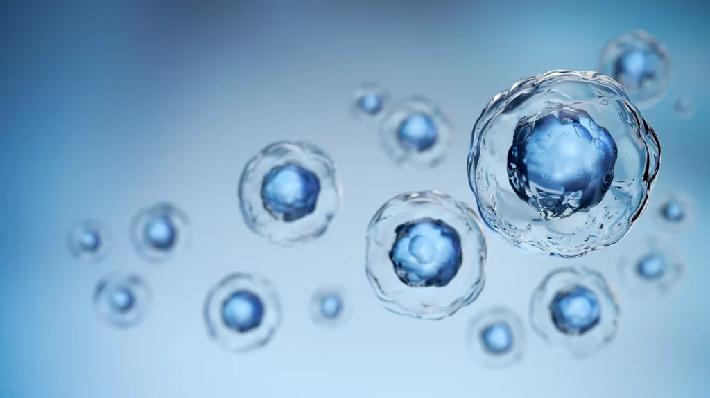 Stem Cell Treatments